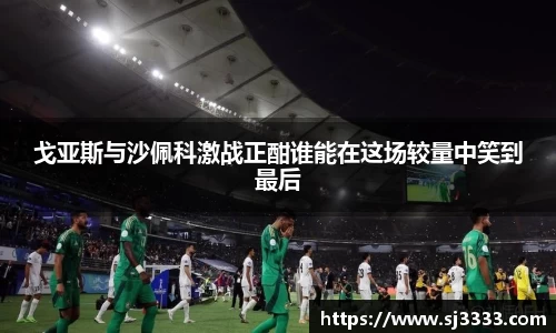 戈亚斯与沙佩科激战正酣谁能在这场较量中笑到最后