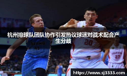 杭州排球队团队协作引发热议球迷对战术配合产生分歧