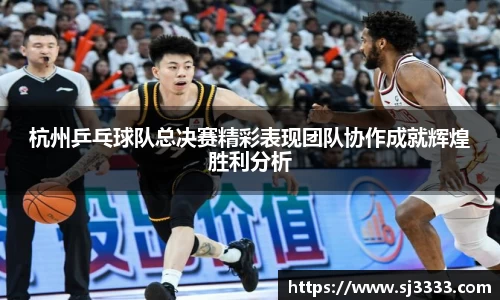 杭州乒乓球队总决赛精彩表现团队协作成就辉煌胜利分析