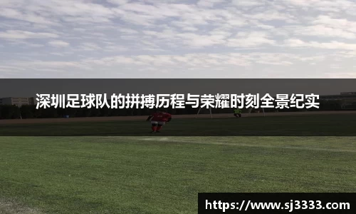 深圳足球队的拼搏历程与荣耀时刻全景纪实
